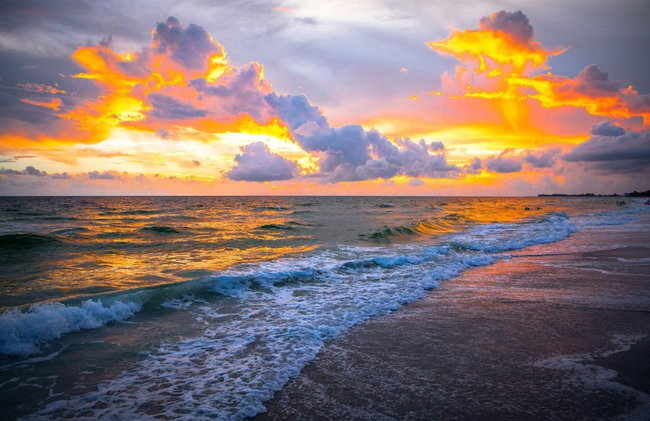 Anna Maria Island Beach Palms 2B - Foto 23