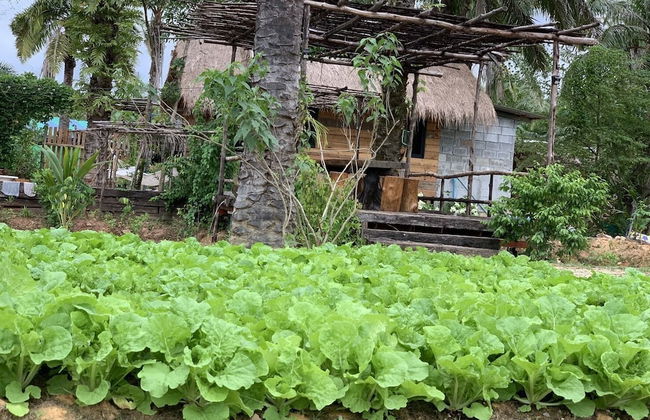 Amarit Onsen Homestay - Photo 13