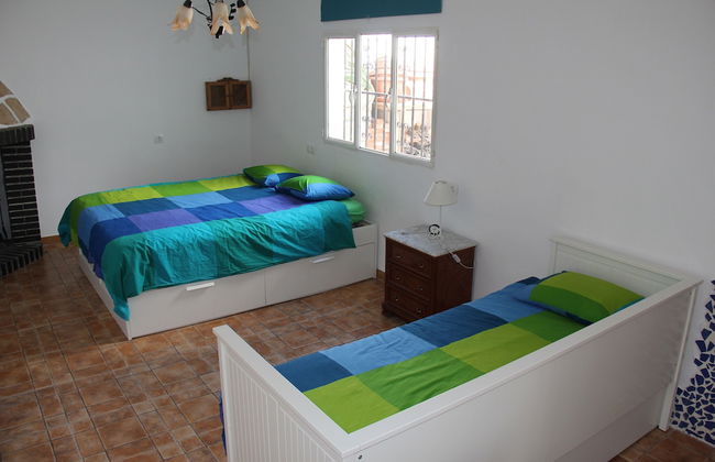 Studio Tropical - Foto 2