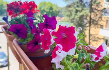 Roma Ostia Vacanze Romane Inn - Photo 36