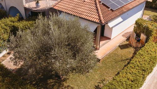 Villa Roberta - Foto 5