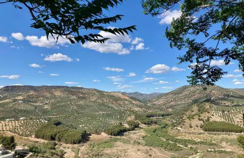 Dehesilla Olive Orchard Retreat - Foto 44