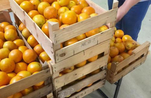 Casa da Pedra - Aljezur, always the sun - Foto 39