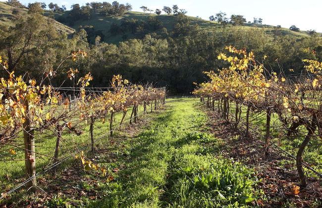 Brockman Park Estate - Foto 31