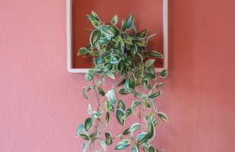 Le petit chez vous - T1 Bergerac -2 pers - Foto 6