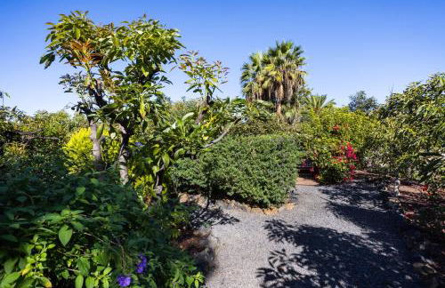 Home2Book Comfy Cottage Hibiscus, Peace Retreat - Foto 14