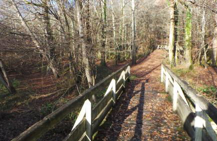 la petite fontaine - Foto 18