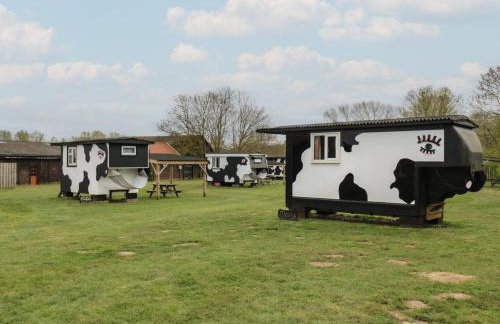 Buttercup Cow Shed 3 - Foto 9