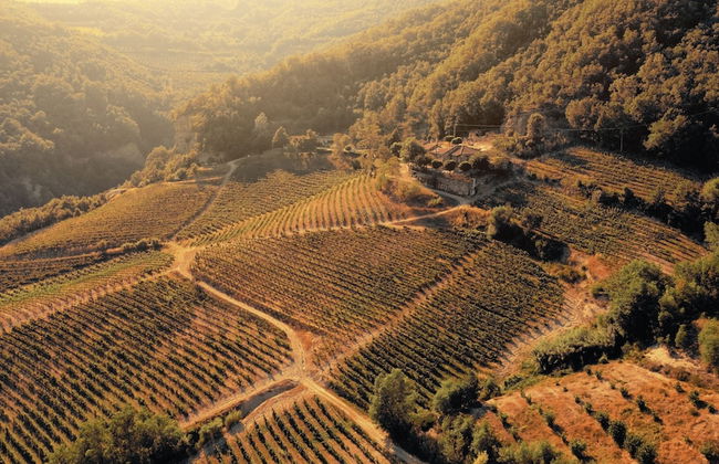 Cascina Bertolotto Wine Resort. - Foto 1