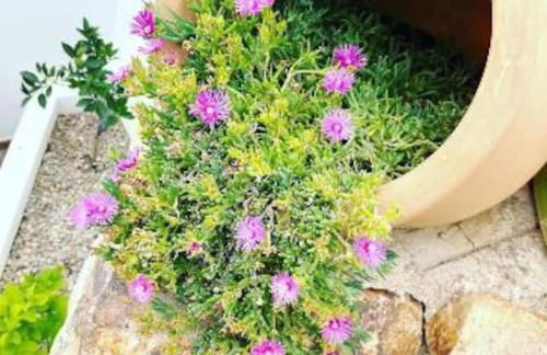 Lesal Villas Rentals, Villa Mar Azul, Tossa de Mar - Foto 56