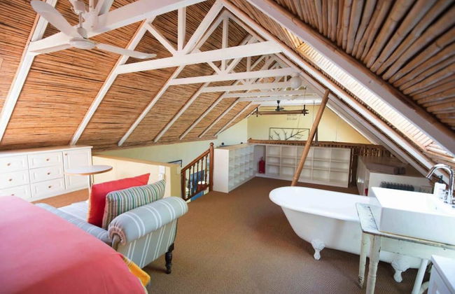 Aloe Corner Franschhoek - Foto 2