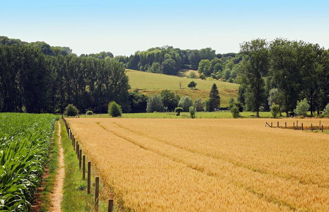 Wijlre Farmhouse Stay - Foto 31