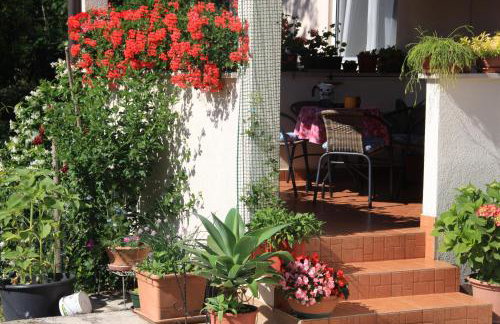 Apartman Rino - Foto 21