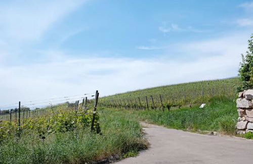 Ferienwohnung Am Rebberg - Foto 26