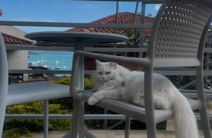 Flat Jurerê vista mar - Foto 19