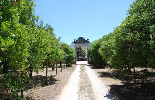 Quinta do Casalinho - Benfica do Ribatejo - Foto 13