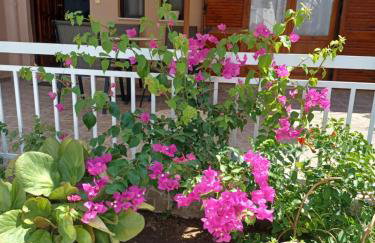 Cozy Apartments - Foto 19