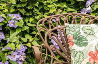 Pousada Sonho do Campo - Foto 19