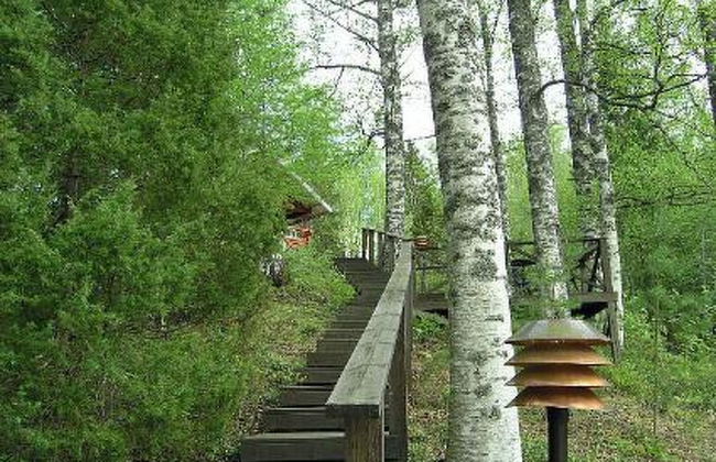 Koivurinne - Foto 30