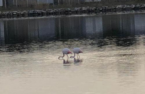 Barcaresa-LA PERLE VUE MER PIEDS DANS L'EAU CLIM WIFI - Foto 41