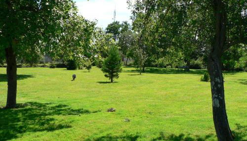 Gîte de charme en Berry avec jardin privatif, idéal pour randonnées et observation des oiseaux - FR-1-591-184 - Foto 3