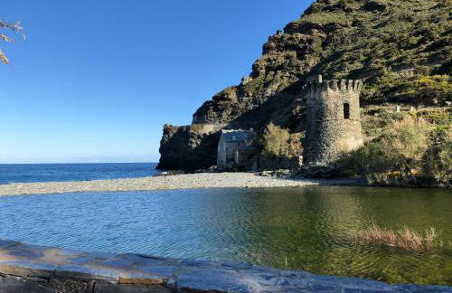 Cap Corse - Grande maison au bord de mer - PMR - Foto 3