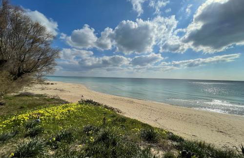 CASAMARE San Pietro in Bevagna - Foto 57