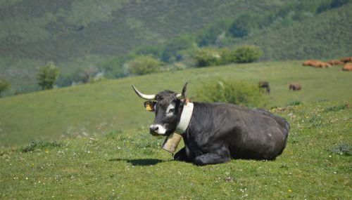 CASUCAS LA GUARIZA (Casa Eva ) - Foto 4