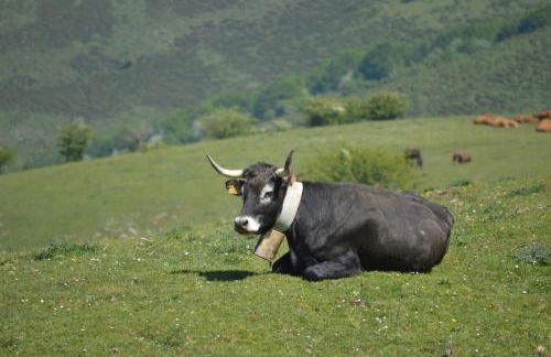 CASUCAS LA GUARIZA (Casa Eva ) - Foto 4