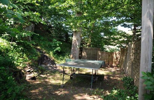 Rothaarsteig Ferienhaus - Foto 15