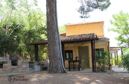 Tenuta Conte Ruggero - Foto 80