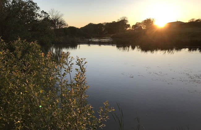 Foxglove - Luxurious Barn Conversion - Foto 48