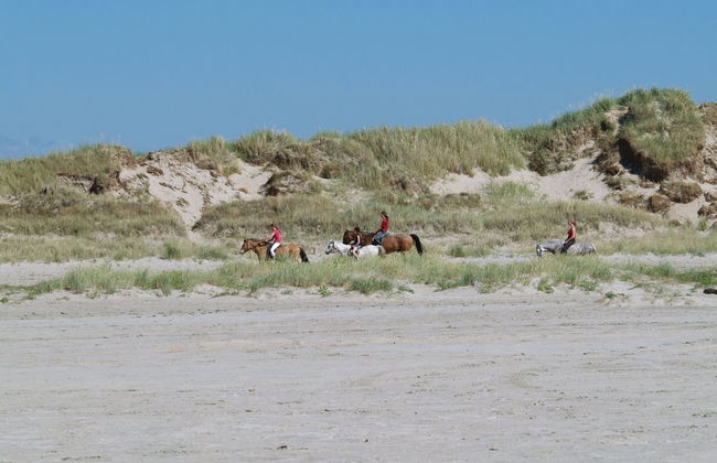 "Solina" - 500m from the sea - Foto 3