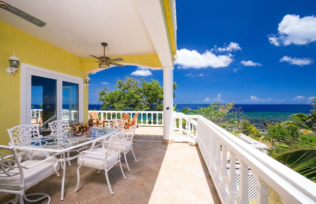 Yellow Bird - Foto 11