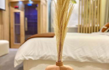 Spa - Sauna privatif plein centre - Photo 15