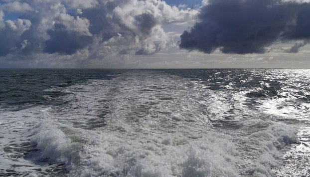 Coastal Hut No. 6 Comfortable Vacation Home - Foto 5, Habitación