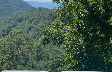 Palazzo 54 - Photo 36