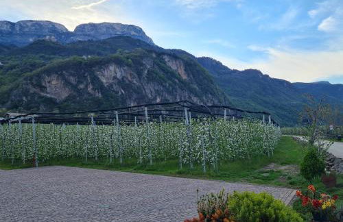 Versigglhof - Foto 73