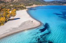 Rose e fiori - Foto 39