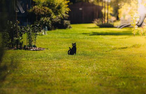 Niebieski Domek - Foto 69