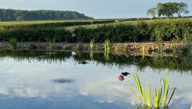 Gonerby Grange Farm Barn, Belton - Foto 3