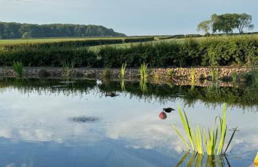 Gonerby Grange Farm Barn, Belton - Foto 3