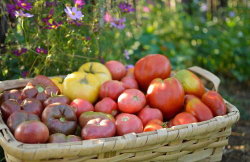 Las Huertas del Abrilongo - Foto 34