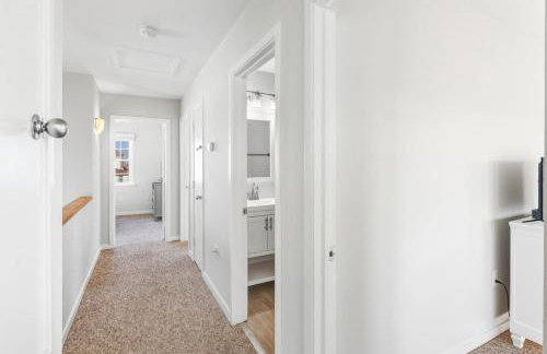 CAC-1 - Angelfish - Photo 30