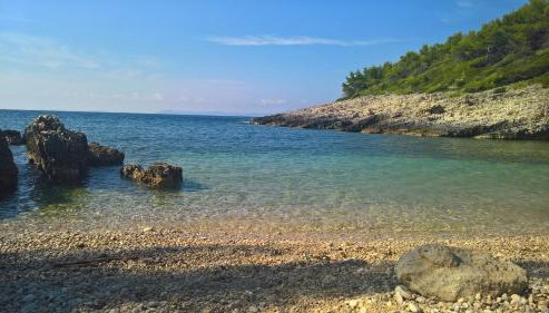 Planika Apartments 1 - Foto 4