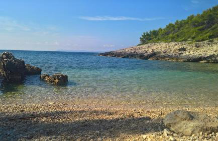 Planika Apartments 2 - Foto 4