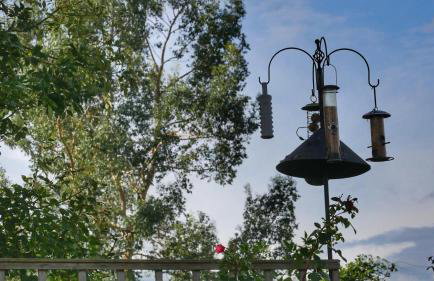 Bright, Stylish 1 KS Bed Bungalow with Private Garden - Foto 17