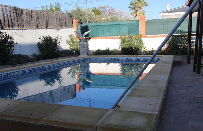 Studio Tropical - Foto 31