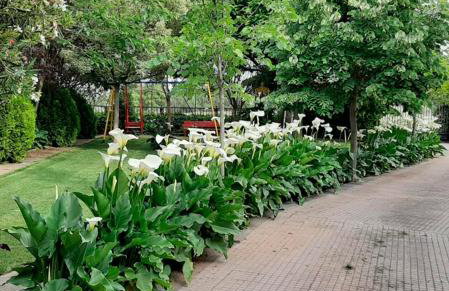 VILLA AFRICA - Foto 18