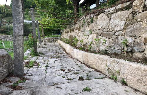 QUINTA do SOUTO BARCIADEMERA - Foto 54